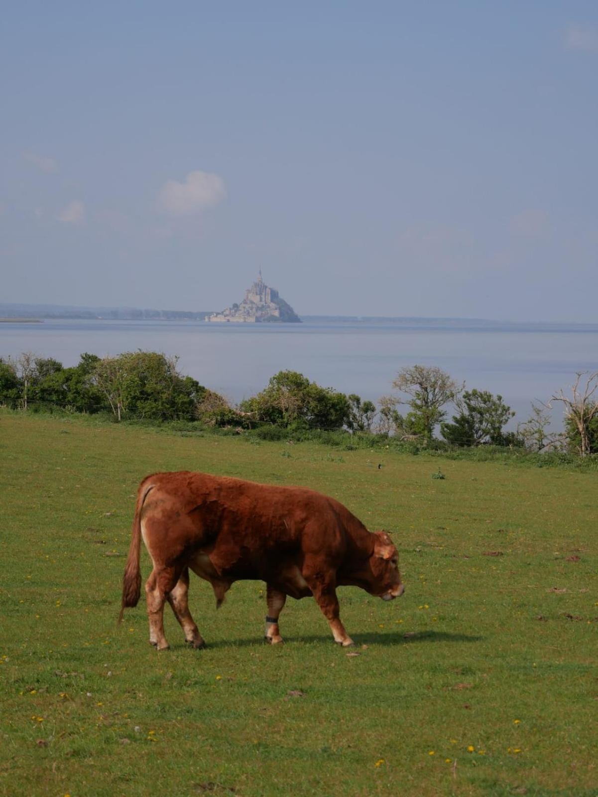 Vue Mt-st-michel, Elegance, Calme Et Baby-foot Bonzini *